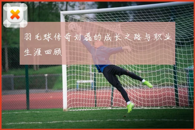 羽毛球传奇刘磊的成长之路与职业生涯回顾