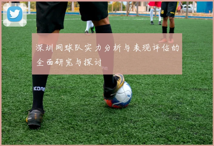 深圳网球队实力分析与表现评估的全面研究与探讨